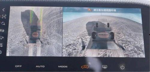 宝哥爆料大狗视频,大狗视频背后的惊人真相 第3张 宝哥爆料大狗视频,大狗视频背后的惊人真相 第3张